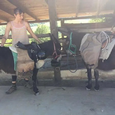 Valli Unite * Costa Vescovato