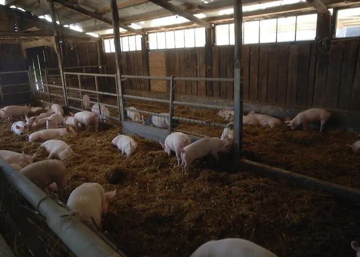 ファームステイ Valli Unite Costa Vescovato